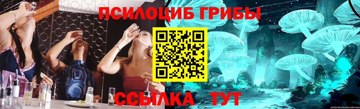 Петровск  Галлюциногенные грибы Magic Shrooms  Вход с VPN 